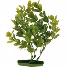 Trixie Dekoratīvs augs akvārijam : TRIXIE Assortment Plastic Plants, 17cm